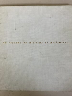 Au royaume du millième de millimètre